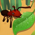 蚂蚁进化3d正版