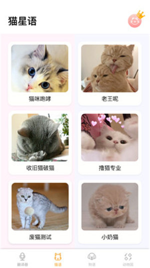 翻译猫语苹果版免费下载